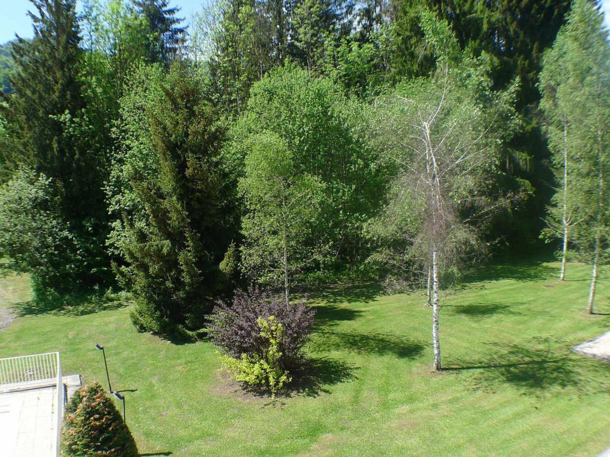 Appartement Confortable Avec Piscines, Terrasse Et Parking A Samoens - Fr-1-629-100 Eksteriør billede